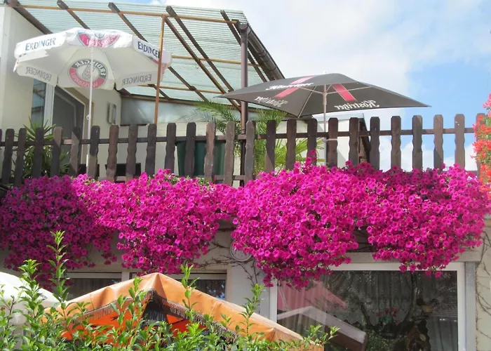 Und Zum Biber Affittacamere Steckby