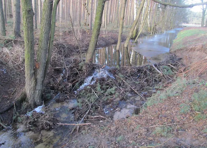 Maison d'hôtes Und Zum Biber Steckby